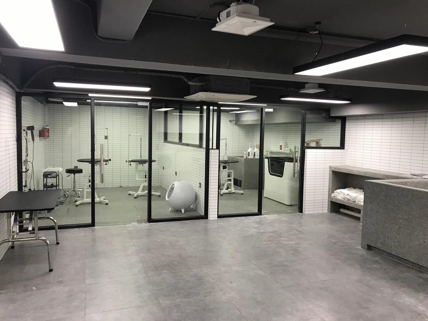 合肥宠物店装修公司|合肥宠物店该怎么装修？
